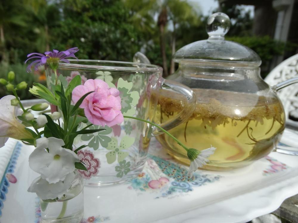 Noosa Valley Manor B&B Doonan Екстериор снимка