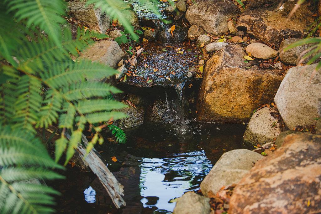Noosa Valley Manor B&B Doonan Екстериор снимка